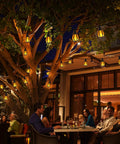 Evening cafe with Outdoor Solar String Lights 33Ft With 15 Realistic Flickering Flame Bulbs Waterproof Warm White For Patio Garden Yard Gazebo Bistro Cafe Party Decor Durable Led Accent Lighting Stay Lit hanging over a tree.