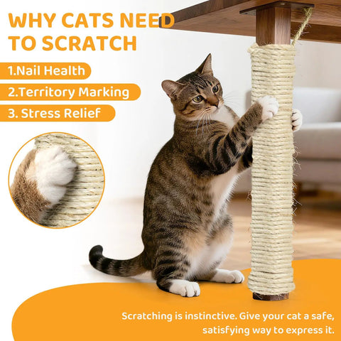 Cat using post wrapped in Thick 5mm Sisal Rope For Cat Scratcher Tree 50 Feet Cat Tower Climbing Twine For Scratch Post Replacement And Repair DIY White Easy Fix To Restore Worn Posts