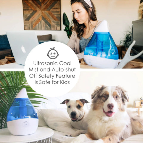 Droplet Ultrasonic Cool Mist Humidifier For Bedroom And Office 0.5 Gallon Mini Humidifier next to woman and with dogs