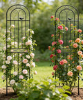 Sturdy 2 Pack Garden Trellis Set, 70.8 Inch Tall Metal Plant Support With Black Powder Coat, climbing roses visible outdoors