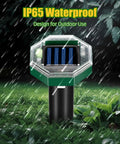 Solar Mole Repellent Stake close-up, waterproof design, lawn background, Solar Mole Repellent Stakes 8 Pack Ultrasonic Gopher Deterrent For Lawn, Garden, And Farm Outdoor IP65 Waterproof Rodent Control Spike Humane, No Traps, Keeps Moles, Voles, Groundhogs, And Snakes Out Of Your Yard