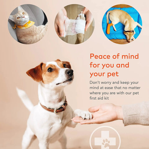Waterproof High Visibility Dog First Aid Kit for Hiking Camping Backpacking Sports and Hunting with 35 Essential Pet Emergency Supplies in a Reflective Pouch For On-The-Go Pup Care, featuring a dog being bandaged, a cat with a collar, and a resting dog.