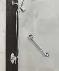 Align Chrome Moentrol Shower Valve Trim Lever Handle With Volume Control for Modern Shower setup on wall, Model T3291