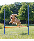 Dog leaping over Pro Grade Dog Agility Hurdle With Height Adjustable Crossbar For Training And Outdoor Fun Easy To Set Up Durable Jump Bar