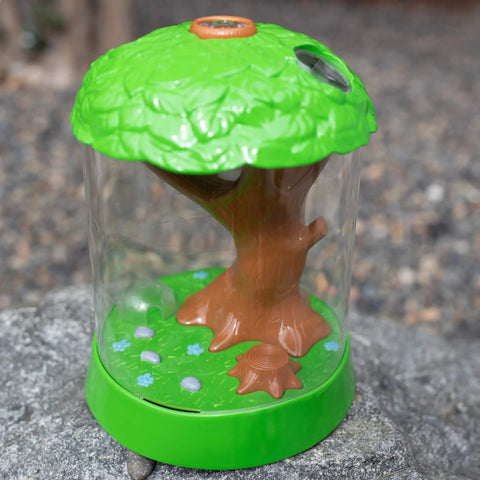 Ladybug Garden Kit With Live Ladybugs, Terrarium Habitat For Kids And Toddlers on stone surface