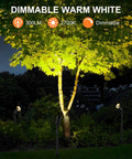 Lit Smart Outdoor Spotlight Kit 4 Pack 12V Low Voltage Landscape Lights illuminating a tree at night with warm white light.
