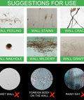 Image showing various wall issues: peeling, stains, crack, nailhole, mildew, graffiti. Conditions not suitable: wet walls, foreign body, rainy day.