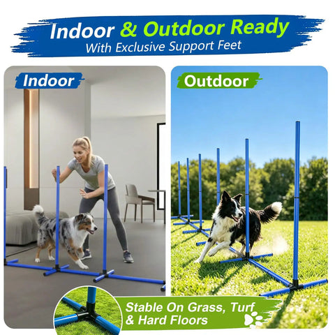 6 Weave Poles Or 2 Hurdles Convertible Dog Agility Set for indoor and outdoor training with blue poles and support feet