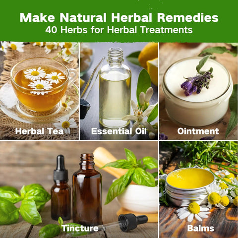 Image showing herbal tea, essential oil, ointment, tincture, and balms made from 40 herbs for the Ancestral Apothecary Medicinal Tea Herb Seed Chest With 40 Heirloom Non GMO Seeds For Planting Oregano Basil Chamomile Lavender And More In Raised Beds And Windowsills A Thoughtful Garden Gift For Women And Men.