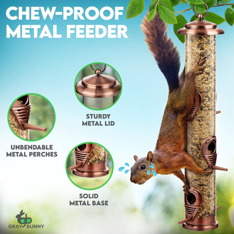 Outdoor Bird Feeder With Locking Lid And Chew Proof Metal Copper Finish, Six Port Hanging Feeder With squirrel climbing