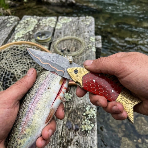 Using Handmade Copper Damascus Folding Knife With Ladder Pattern Blade Brass Engraved Red Resin Handle on fish by river