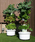 Outdoor self watering hydroponic tower for home gardens with 24 net pots, food grade construction, 360 degree all around walls