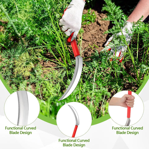 Gardener using 2 Pack Harvest Sickle With Plastic Handles, Sawtooth 6.5 Inch Stainless Steel Blade, Japanese Weeding Hoe, for weeding.