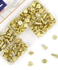 Heavy Duty Golden Chicago Screw Rivets Assortment Kit For Leather Craft And Bookbinding in a clear storage box.