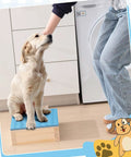 Dog sitting on Dog Training Platform With Non Slip Surface Place Board For Agility Obedience Training Portable Pivot Box Puppy Stand For Indoor Or Outdoor Use Blue 11.81 By 11.81 By 3.94 Inches