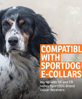 Dog wearing e-collar for Replacement Probes for E Collars Half Inch Long Contact Points With O Ring Kit, background text