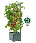Raised Garden Bed Tomato Planter Box With Trellis Self Watering 4.1 Gallon Pot 31.65 Inch Trellis in use with tomatoes