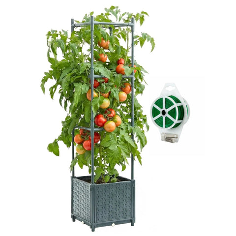 Raised Garden Bed Tomato Planter Box With Trellis Self Watering 4.1 Gallon Pot 31.65 Inch Trellis in use with tomatoes