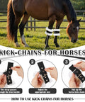 Horse wearing 4 Pack Fleece Lined Horse Kickin And Pawing Training Chains with stainless steel chains in a field.