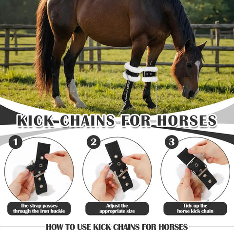 Horse wearing 4 Pack Fleece Lined Horse Kickin And Pawing Training Chains with stainless steel chains in a field.