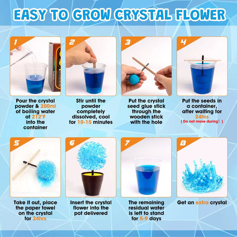 Step-by-step instructions for Crystal Growing Kit For Kids 8 To 12, Fast 24 Hour Science Lab Toys Set For STEM Learning.