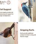 Tail Prop Suet Bird Feeder With Rust Free Mesh And Hanging Cable Built For Large Woodpeckers Like Pileated Backyard Friendly Brown Feeder shown installed with woodpecker.