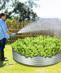 Man watering plants in round galvanized raised garden bed 4x4x1ft outdoor planter for vegetables and flowers durable steel