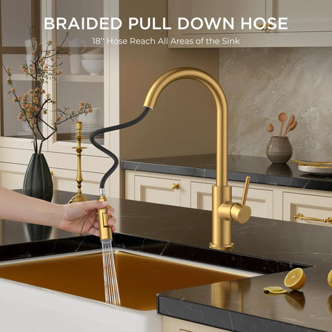 Modern kitchen with pull down faucet and braided hose
