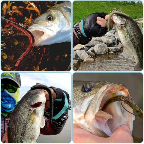 Collage of fish caught using 5.5 Inch Wacky Worm Lure Kit With 133Pcs Soft Plastic Lures, Grub Baits, Hooks for bass and trout fishing