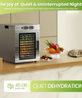 Top Shelf Food Dehydrator Machine With Twelve Stainless Steel Trays And Digital Timer For No Sweat Drying From 68 To 194 Fahrenheit on kitchen counter.