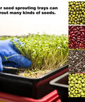 8 Pack Seed Sprouter Tray With Hemp Fiber Grow Mat for Microgreens and Wheatgrass, showing various sprouting seeds and sprouts