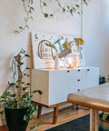 Modern white cabinet surrounded by green plants, featuring decor and lighting on top, minimal home interior design.