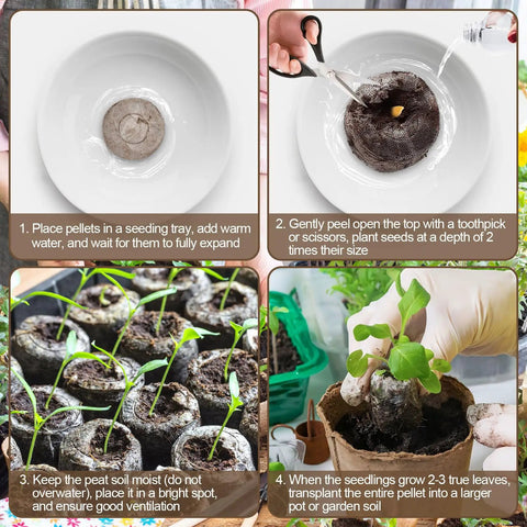 100 Pcs 40mm Seed Starter Peat Pellets For Seedlings Easy To Use Germinate Fast Plugs Seed Starters For Garden Plants Herbs Vegetables And Flowers Ready To Grow In Soil
