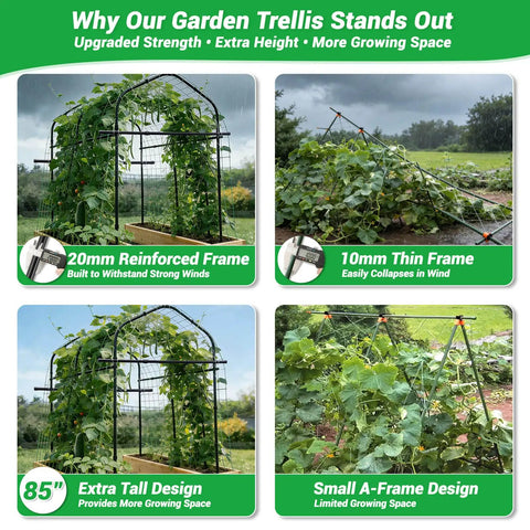 Comparison of 7 ft Tall Garden Arch Trellis for Climbing Plants with reinforced metal frame against smaller A-frame trellis in a garden.