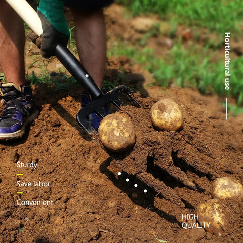 Garden Fork With Four Tine Spading Fork Head 45 Inch Forged Steel Y Grip Wood Handle Red Beefy Built digging potatoes.