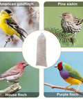 Four bird species with a hanging finch sock feeder in center: American Goldfinch, Pine Siskin, House Finch, Purple Finch.