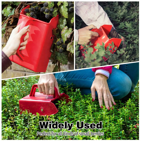 Berry Picker Kit With Metallic Comb And Ergonomic Handle For Easy Hassle Free Harvesting Of Berries Without Crushing Them Or Snags Keeps Hands Safe From Thorns Eco Friendly Garden Tool For Fresh Picks, red berry picker in use