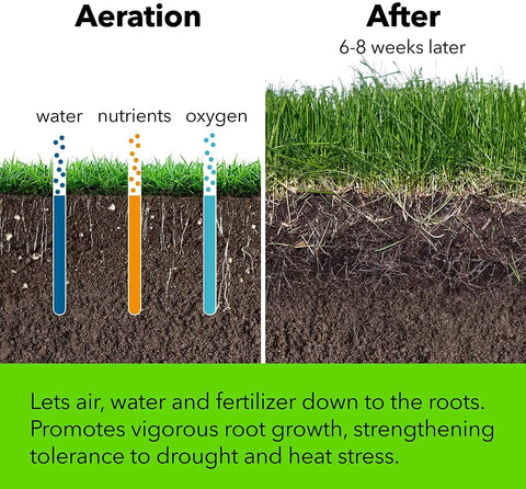 Infographic showing benefits of using Beefy Spike Lawn Aerator Tool With 37 Inch Handle on soil aeration and grass root growth.