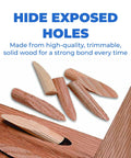 Paint Grade Pocket Hole Plugs For Concealing Exposed Holes In Woodworking Projects, trim sand and stain ready wood plugs displayed on wood surface.