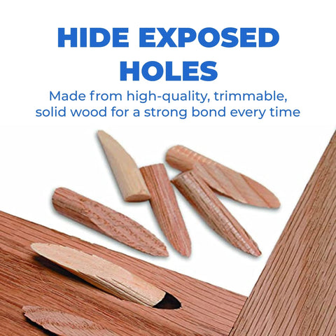 Paint Grade Pocket Hole Plugs For Concealing Exposed Holes In Woodworking Projects, trim sand and stain ready wood plugs displayed on wood surface.