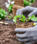 Gardener planting seedling in 100 Pack 4 Inch Organic Peat Pots For Seed Starting Biodegradable Plantable Nursery Pots With Drainage Holes for Small Seedlings