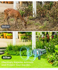 Solar Ultrasonic Animal Repellent Outdoor Motion Sensor Deterrent For Yard Garden Lawn Four Pack Keeps Deer Squirrels Cats Raccoons Rabbits And Dogs Away With PIR Sensor with deer before and garden after