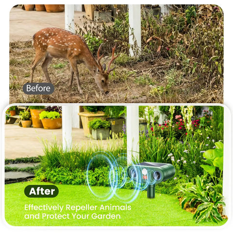 Solar Ultrasonic Animal Repellent Outdoor Motion Sensor Deterrent For Yard Garden Lawn Four Pack Keeps Deer Squirrels Cats Raccoons Rabbits And Dogs Away With PIR Sensor with deer before and garden after