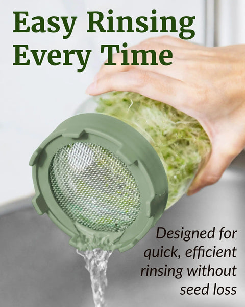 Two Pack Wide Mouth Sprouting Jars With Lids And Stainless Mesh Screen used for rinsing sprouts under water.