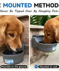 No Brainer Automatic Dog Water Dispenser With Heavy Duty Anti Tip Bracket, 68 Oz Outdoor Pet Water Bowl mounted on wall and ground with dog drinking.
