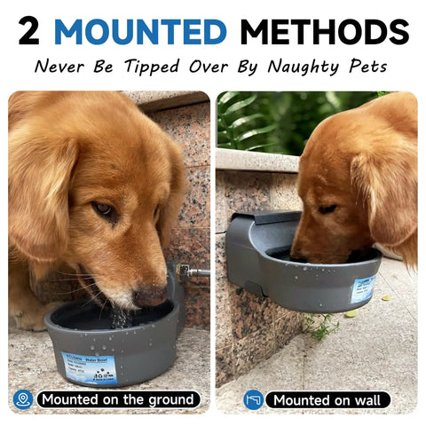 No Brainer Automatic Dog Water Dispenser With Heavy Duty Anti Tip Bracket, 68 Oz Outdoor Pet Water Bowl mounted on wall and ground with dog drinking.