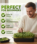 Man tending to Alfalfa Sprouting Seeds Non GMO Organic For Quick No Fuss Easy Homegrown Sprouts Premium Resealable 16oz Bag Packed With Nutrients Vitamins Fiber And Minerals Easy To Grow And Fresh For Planting sprouting tray indoors.