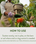 Gardener spreading Slug And Snail Bait Granules For Lawns Gardens And Greenhouses 2 Pound Pack Kills Slugs And Snails In 3 To 6 Days