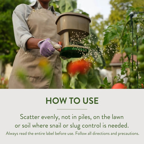 Gardener spreading Slug And Snail Bait Granules For Lawns Gardens And Greenhouses 2 Pound Pack Kills Slugs And Snails In 3 To 6 Days