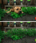 Image showing a dog under a wooden fence in the top half and Set Of 25 No Dig Garden Fence Panels, Rustproof Metal Wire installed below.